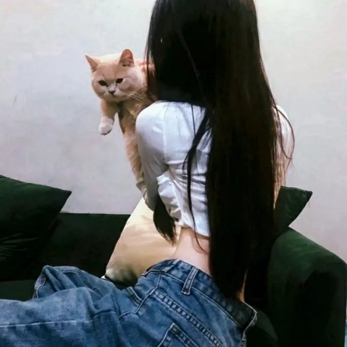 败犬求婚日